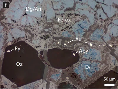 Gold (Au) Stadium 3 mit Digenit (Dg), Anilit (Ani) und Fe-Hydroxiden neben Quarz (Qz) mit Einschlüssen von Stadium 1 Pyrit (Py) und Arsenopyrit (Apy)