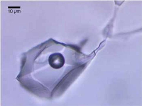 (c) MUL / Rohstoffmineralogie Inclusion2
